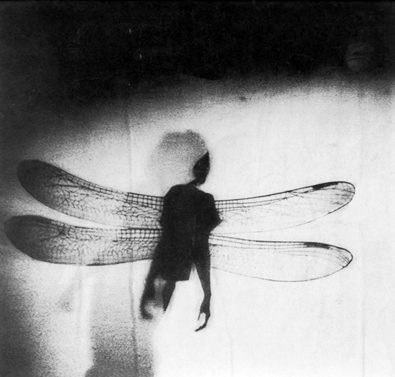 Suspiria by Sachiko Kuru